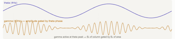 Theta rhythm gating gamma amplitude through cross-frequency coupling