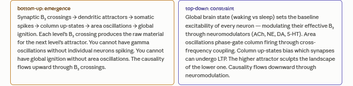 Bottom-up emergence and top-down constraint across a neural attractor hierarchy