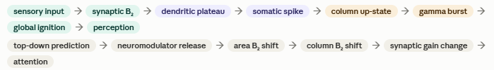 Bottom-up ignition and top-down attention sequences through nested attractor basins