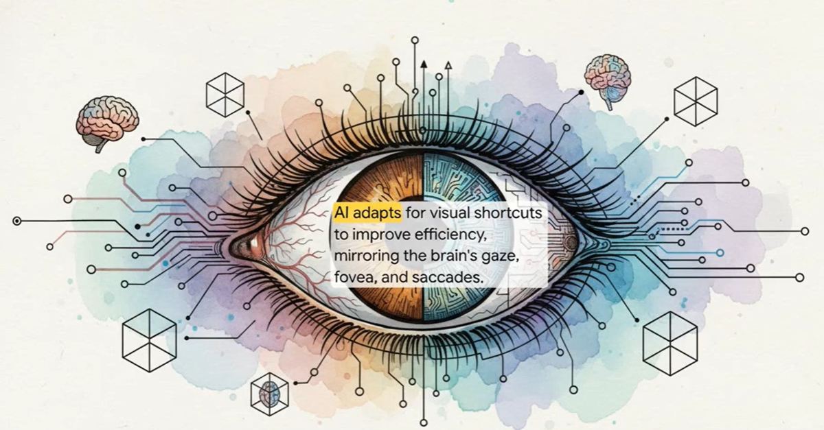 AI and visual shortcuts — gaze, fovea and saccades.