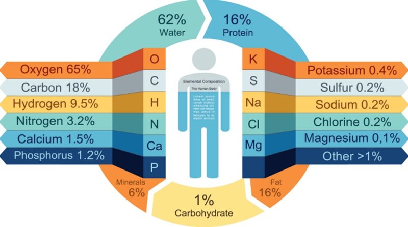 We Are These Elements — Human Body Composition