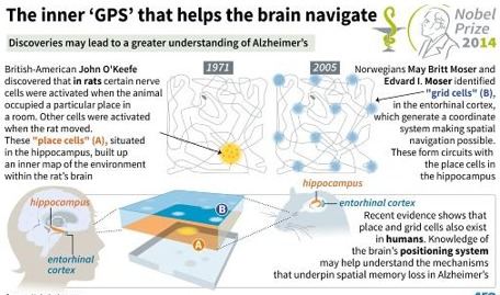 Nobel Prize Brain GPS — Place Cells and Grid Cells