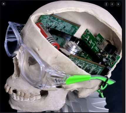Brain Circuits — Memory Architecture