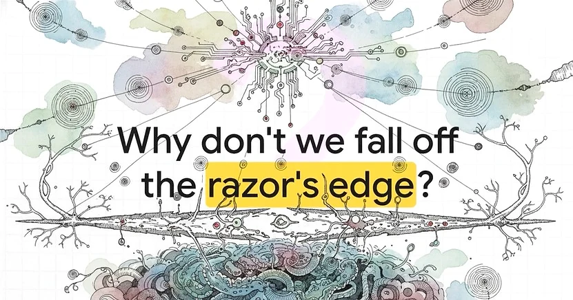 Why don't we fall off the razor's edge opening visual.