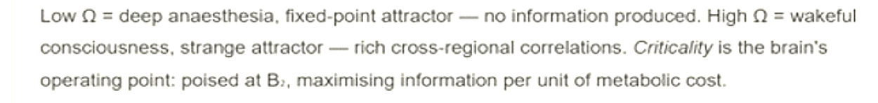 Text explaining low Omega, high Omega, wakeful consciousness, and criticality as the brain's operating point.