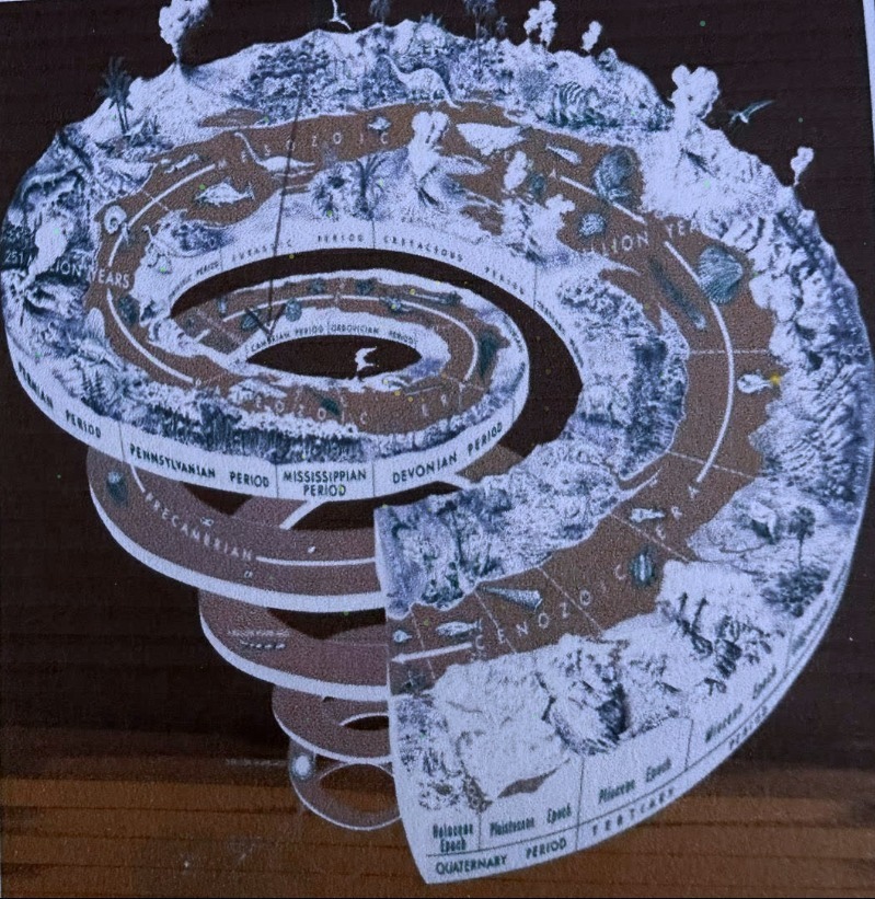 Geological Time Spiral — Brain Evolution