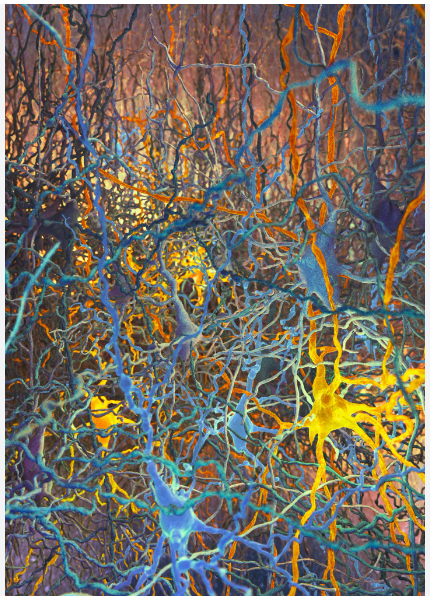 Microcircuit density