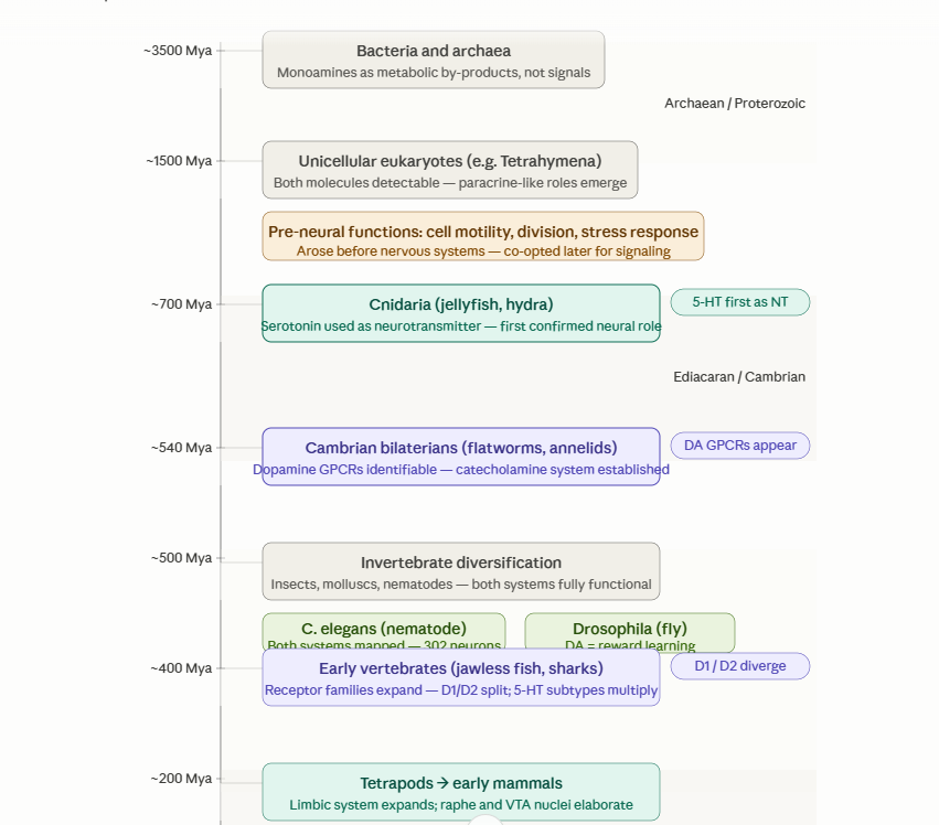 Early evolutionary timeline for dopamine and serotonin systems